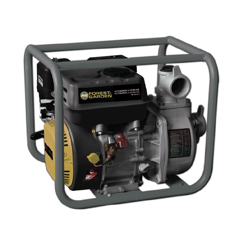 MOTOBOMBA A GASOLINA F&G