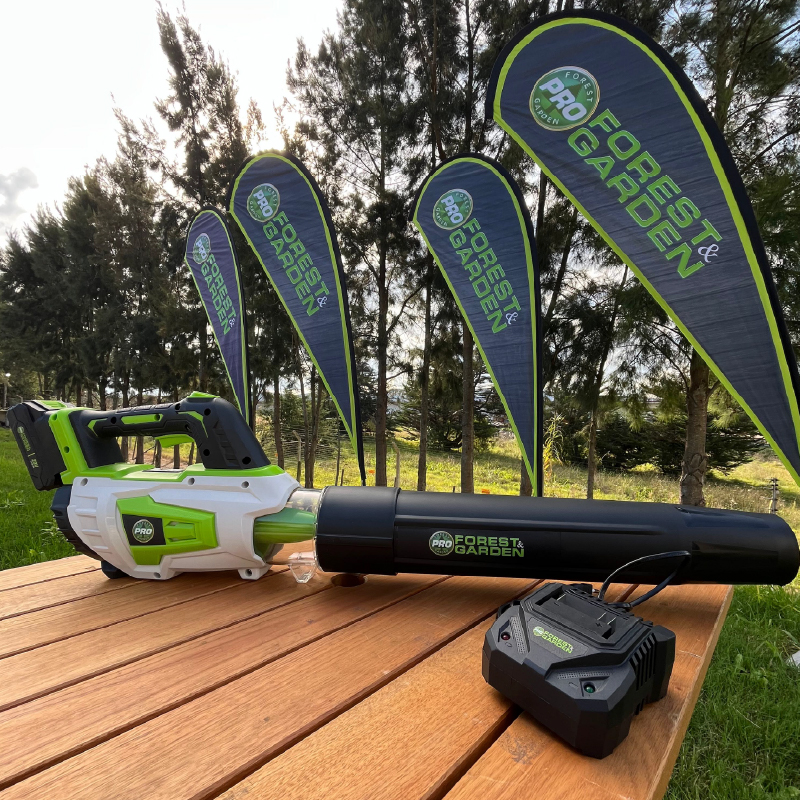 SOPLADOR 20V 2 VEL C/BAT F&G