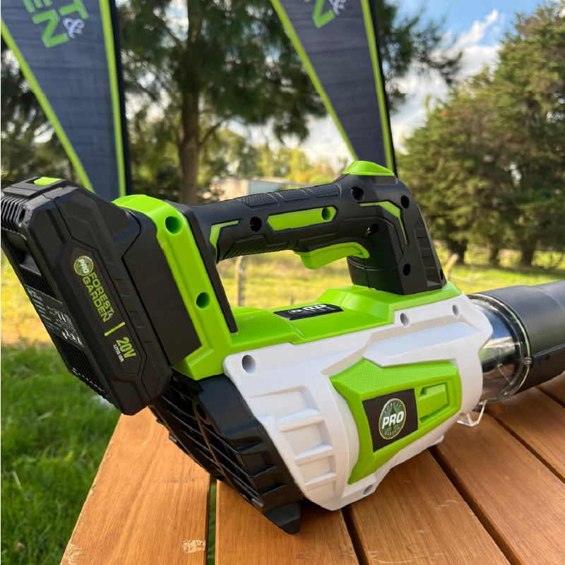 SOPLADOR 20V 2 VEL C/BAT F&G