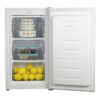 Freezer Vertical TEM T0UFRV60W5000